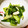 りょーこ0520's cooksnap of when they made 長ネギとキャベツの胡麻和え.