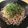 azbjbn's cooksnap of when they made ざる蕎麦いただきまぁす( (^o^)v.