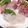 devil真希's cooksnap of when they made イナダの刺身と（頭と中骨）の煮つけ.