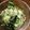 USACO66's cooksnap of when they made わかめ♧水菜♧鶏肉の柚子胡椒マヨサラダ.