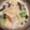 けいもんキッチン's cooksnap of when they made 豆乳鍋★しめは、豆乳味噌リゾット♡.