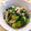 umi☆neco's cooksnap of when they made 栄養満点☆つるむらさきとツナ缶の炒めもの.