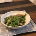saddlebackseal's cooksnap of when they made たけのこなしの本格青椒肉絲☆.