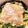 塩おにぎり。's cooksnap of when they made 簡単失敗なし♪ほうれんそうのグラタン♪.