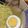 shimaぷりん's cooksnap of when they made ぐっさんチャーシューで、塩ラーメン♪.