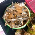 りか໒꒱·'s cooksnap of when they made 食べる小魚の佃煮(田作り).