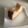 pumpkin23's cooksnap of when they made マーマレード♡チーズケーキ.