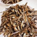 虎徹のママ's cooksnap of when they made 田作り★.