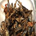 owayou's cooksnap of when they made 食べる小魚の佃煮(田作り).