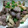 ユーロン's cooksnap of when they made おつまみ＊砂肝と舞茸のにんにくバター醤油.
