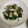 ピーナッツ子♪'s cooksnap of when they made 牡蠣とほうれん草のソテー.