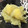 yukinko85☆'s cooksnap of when they made レンジで簡単　栗きんとん.