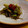 タロすけ's cooksnap of when they made セリの根のきんぴら.