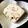 クック95HY15☆'s cooksnap of when they made 甘さ控えめあっさりバナナアイスケーキ.