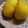 tanzanite's cooksnap of when they made 栗の甘露煮.
