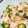 はまやん0930's cooksnap of when they made お手軽！鮭ときゅうりの混ぜ寿司.