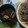 yamachan父's cooksnap of when they made 超本格★お蕎麦屋さんの鴨南蛮(鴨せいろ).
