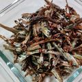 りおりさまま's cooksnap of when they made 乾物屋のおせち｜だしで美味しい田作り.