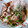 まーく71's cooksnap of when they made ピーマンと豚肉のしょうゆ炒め.