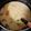 ★いちご大好き★'s cooksnap of when they made ★白菜と鶏むね肉のミルク鍋.