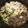 とろけい's cooksnap of when they made 我が家のすき焼き.