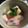 ゆゆゆっち1103's cooksnap of when they made だし香る☆すまし仕立てのお雑煮.