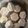 EnjoySun's cooksnap of when they made 逸品おせち◇鶴の子里芋の白煮◇正月.