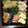 うこっぴー's cooksnap of when they made 白だしで簡単✩だし巻き卵.