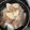 Idylle♡'s cooksnap of when they made 簡単　大根とツナの煮物.