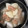 Idylle♡'s cooksnap of when they made 簡単　大根とツナの煮物.