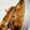 まさ12321's cooksnap of when they made イワシの蒲焼き(冷凍).