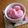 nekoland's cooksnap of when they made いちごのシャーベット.