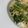 和風ツナマヨ's cooksnap of when they made ほうれん草の醤油バターうどん.