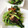 とっぽぎがおちゃん's cooksnap of when they made 壬生菜と焼きシイタケの和えもの.