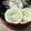ちぃくらげ's cooksnap of when they made さば缶で旨！爽やか魚介系レモンラーメン.