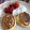 またたびちゃま's cooksnap of when they made あっさり生クリームの黄金比率.