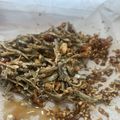 クック9TBXIK☆'s cooksnap of when they made おせちに☆ナッツ田作り風.