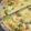 クックCYLG8P☆'s cooksnap of when they made 簡単！ほうれん草とベーコンのキッシュ.