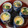 cooking_pa's cooksnap of when they made ◇ 茶碗蒸し.