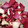 クック7FNN0F☆'s cooksnap of when they made ❁タコと大根の酢の物❁.