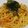RYOCO∞'s cooksnap of when they made 超豪華っ！　でも簡単！　松前漬パスタ♪.