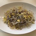 クック78R779☆'s cooksnap of when they made ゆかりもやし.