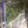 クックDRQB6R☆'s cooksnap of when they made いんげんの保存方法.