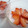 羽会梨亜's cooksnap of when they made いちごのムース.