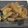 ORIHAM's cooksnap of when they made 甘さ引き立つ！　かぶの胡麻和え.