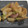 ORIHAM's cooksnap of when they made 甘さ引き立つ！　かぶの胡麻和え.