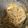 クック06IGRF☆'s cooksnap of when they made うにくらげスパゲッティ.