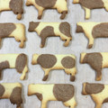 ひつじ・×・'s cooksnap of when they made うしさんクッキーの模様の作り方★.