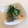 一番星寿美次郎's cooksnap of when they made 簡単美味しい♡ツナと水菜の塩昆布マヨあえ.