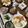 ぐりtoぐら's cooksnap of when they made まるごと玉ねぎレンジ蒸し.